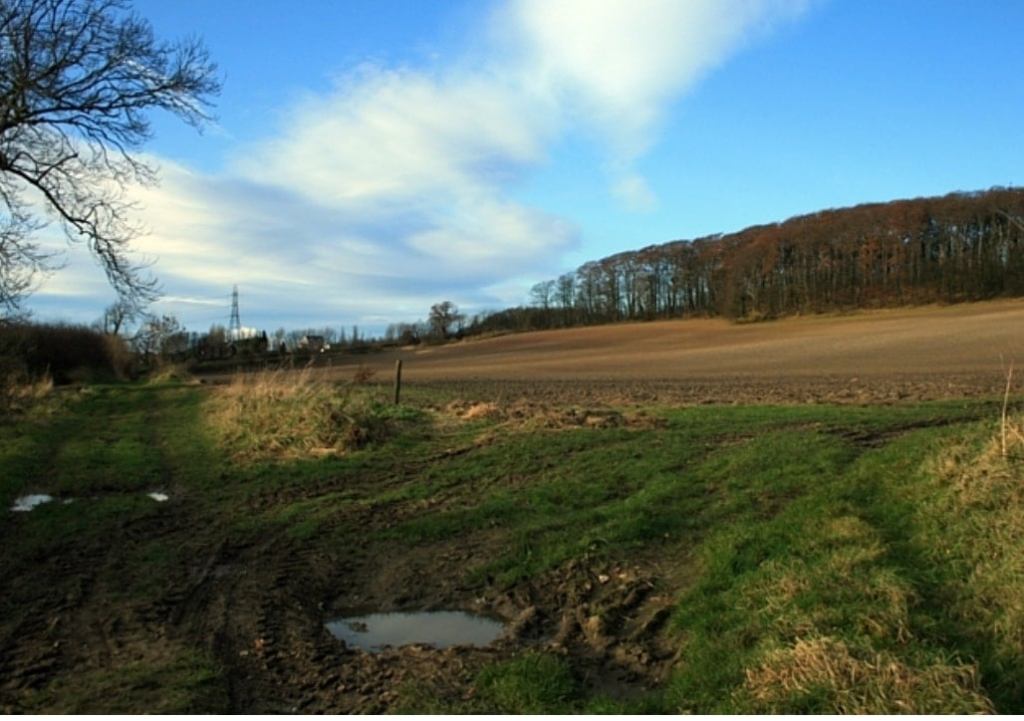 The Legend Of Mary Pannal One of the Yorkshire witches | Andy Castle