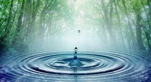 Water Theory and Water&nbsp;Memory