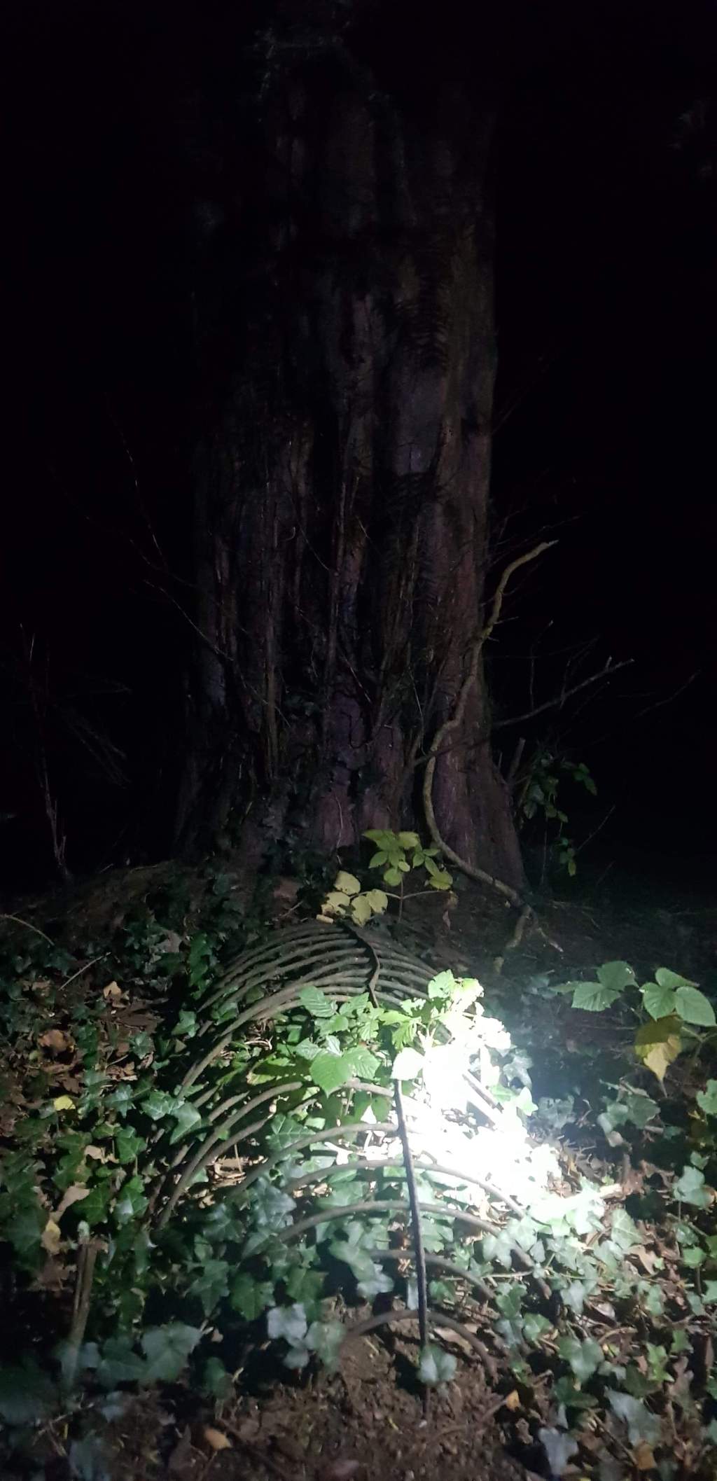 Googles Spooky Graveyard | Dowles Graveyard | Tales Of A Witch… A Possession and A Caged&nbsp;Grave