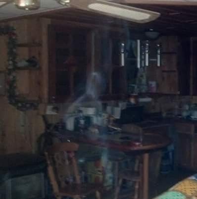 Ghost Picture 2020: Lilly came to visit us?