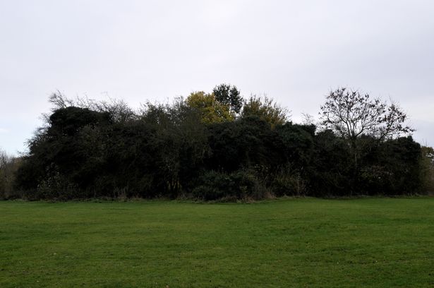 The Witches Circle | Weelsby Woods | Prisoner of War Camp – Was the Prisoners&nbsp;Dabbling?